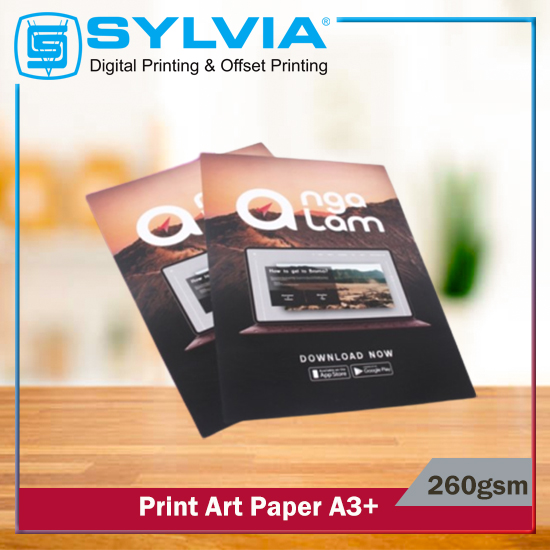 Print Art Paper 260 gsm A3+
