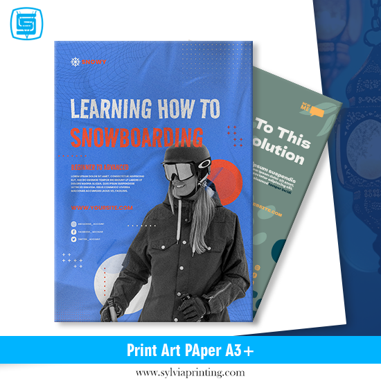 Print Art Paper 260 gsm A3+